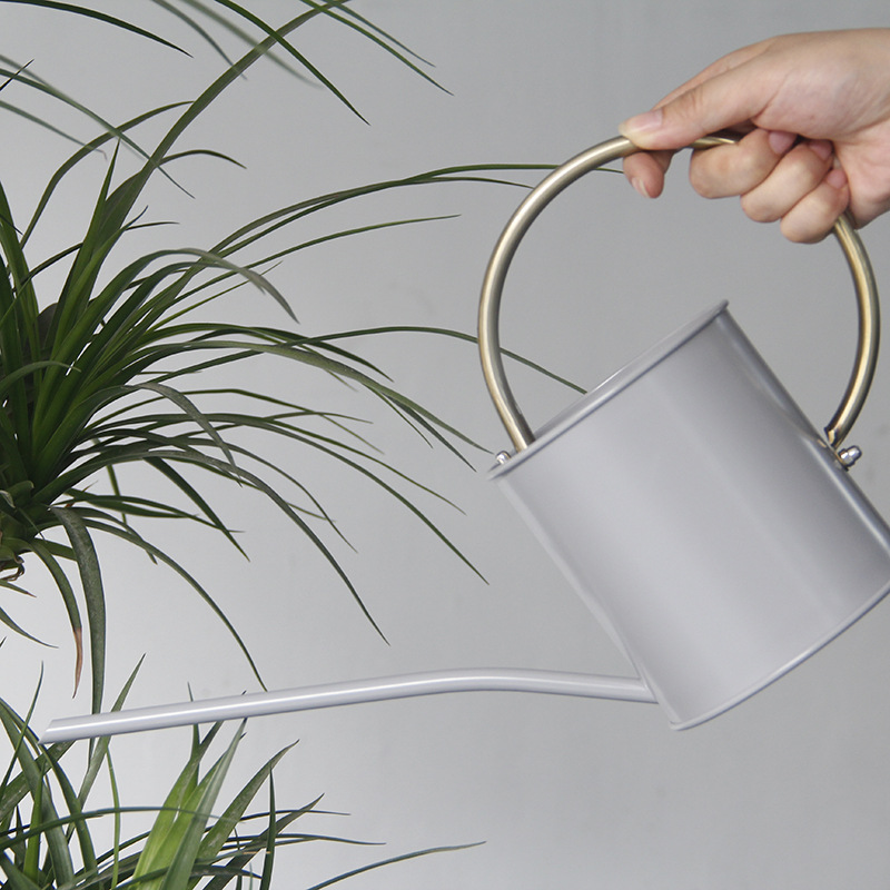Nordic-Style Retro Stainless Steel Long-Spout Watering Can 41